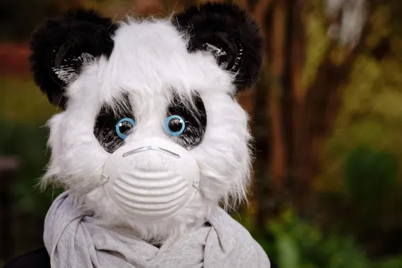 SilverPlay Casino Ondersteuning